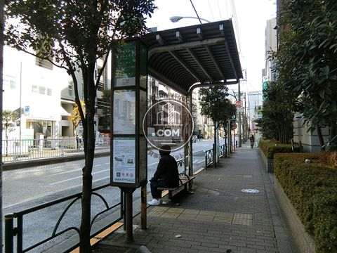 大通り