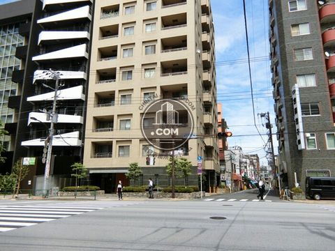 大通り