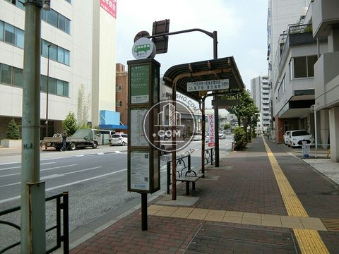 大通り