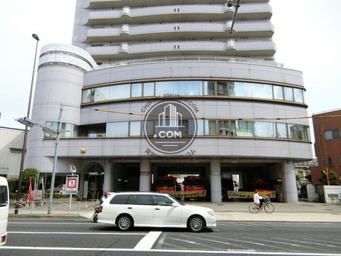 大通り