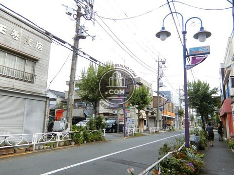 大通り