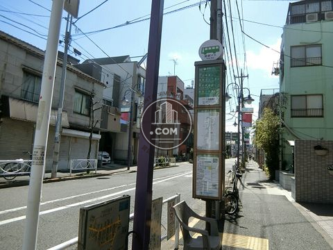 大通り