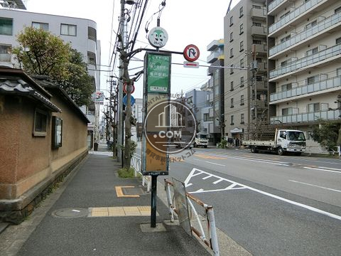 大通り
