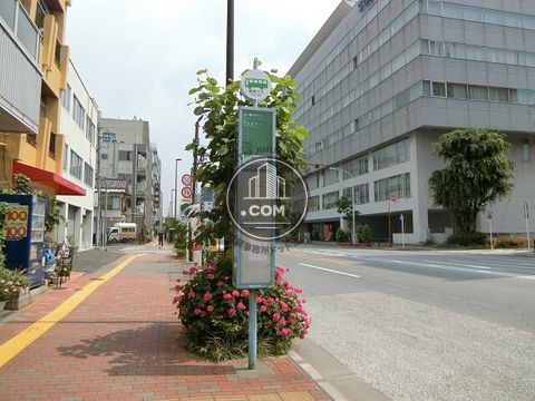 大通り