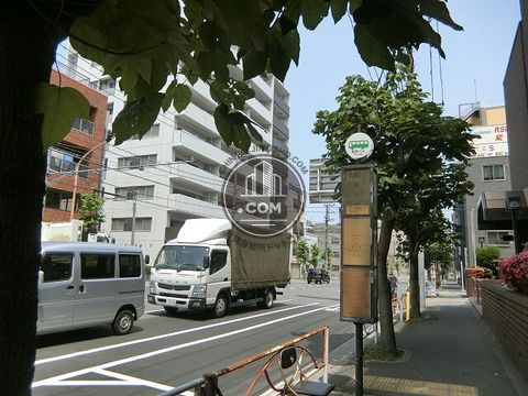 大通り
