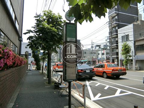 大通り