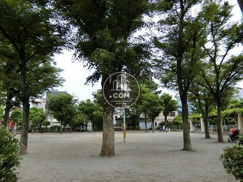 裏路地