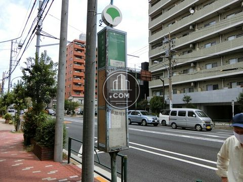 大通り