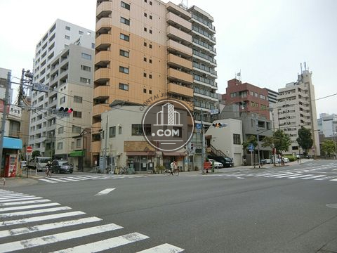 大通り