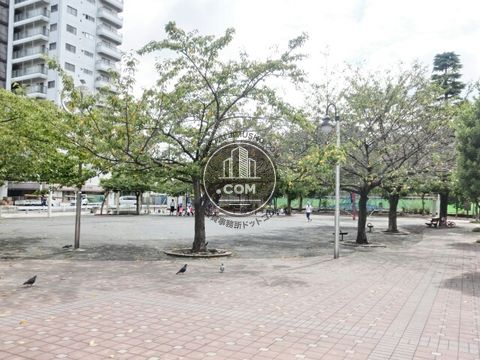 大通り