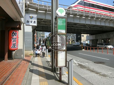 大通り