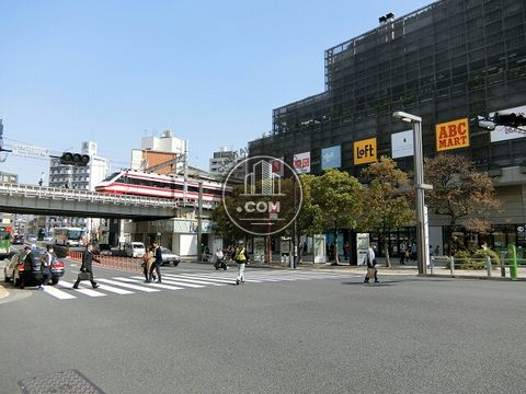 大通り