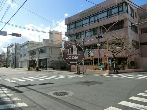 大通り