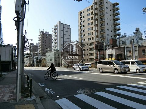 大通り