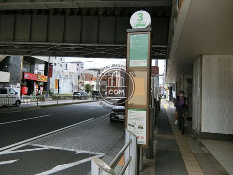 大通り
