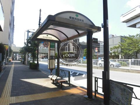 大通り
