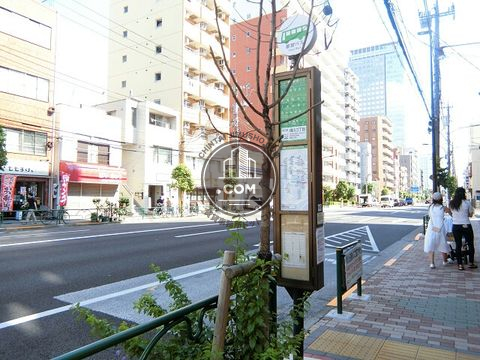 大通り