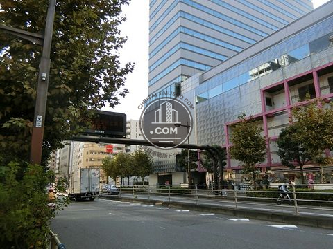 大通り