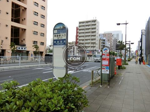 大通り