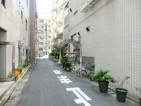 裏路地