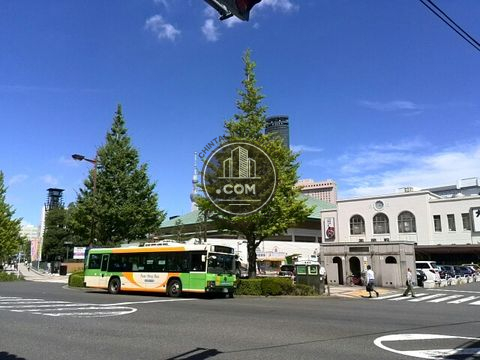 駅周辺