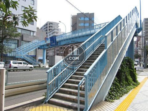大通り