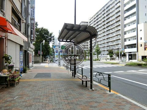 大通り