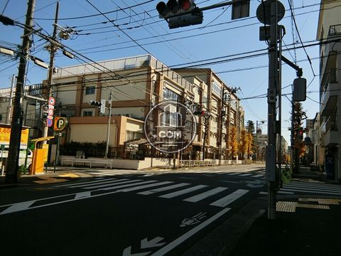 大通り