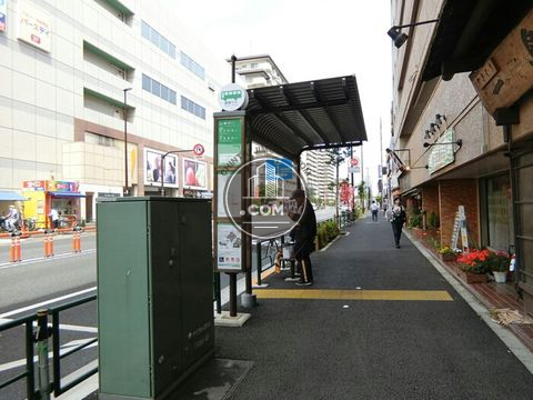 大通り