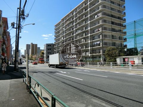 大通り