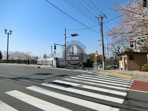 大通り