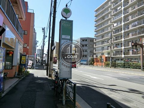 大通り