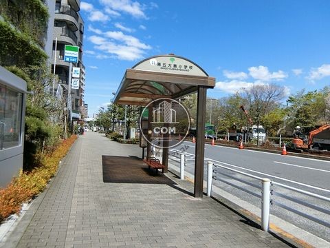 大通り