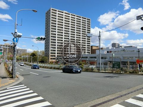 大通り
