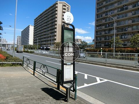 大通り