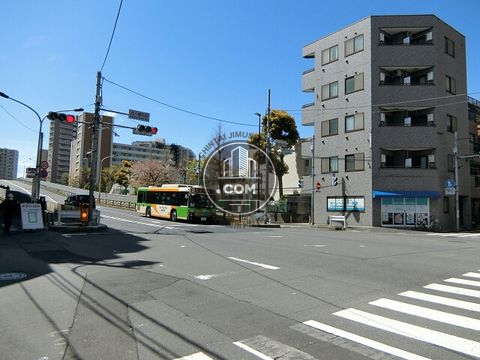 大通り