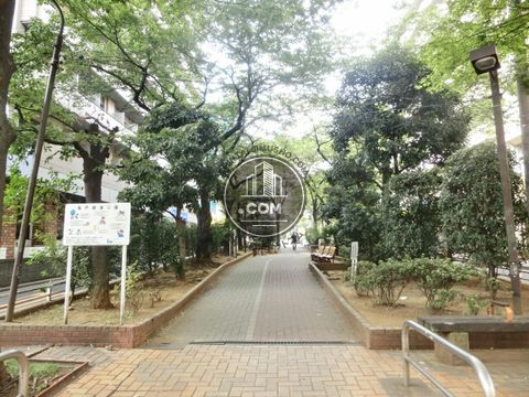 裏路地
