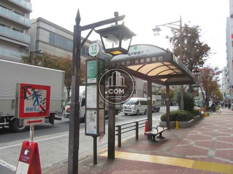 大通り