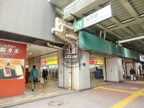 駅周辺