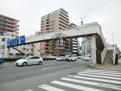 大通り