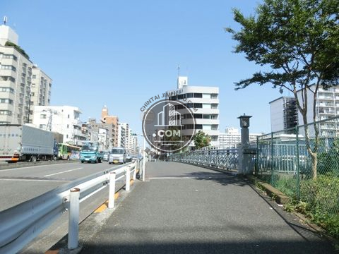 大通り