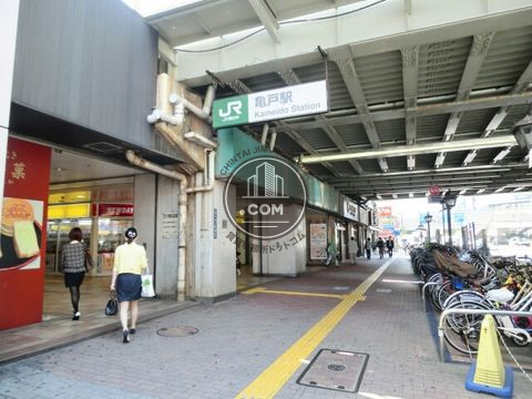 駅周辺