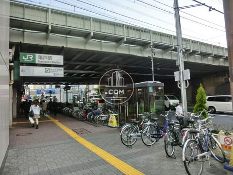 駅周辺