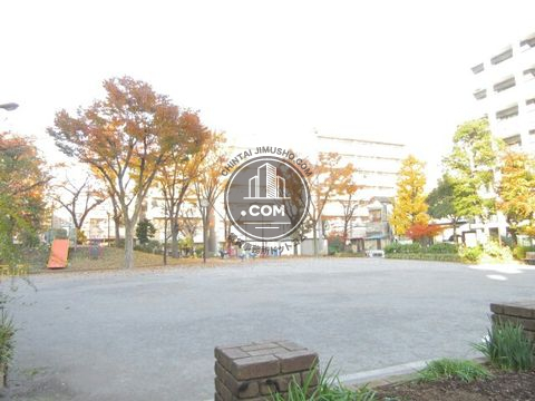 大通り