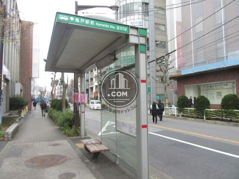 大通り