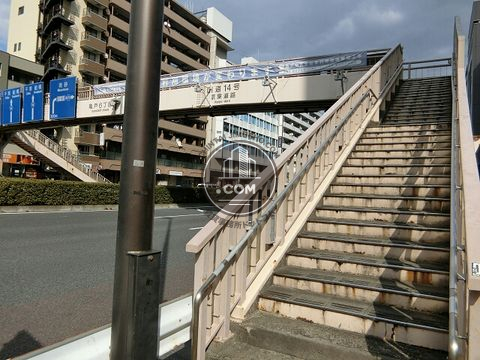 大通り