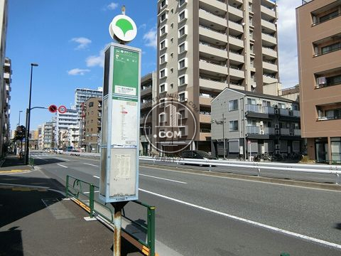 大通り