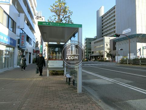 大通り