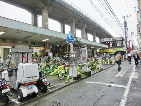大通り