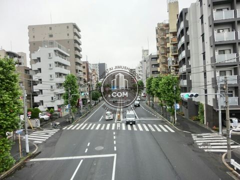 大通り